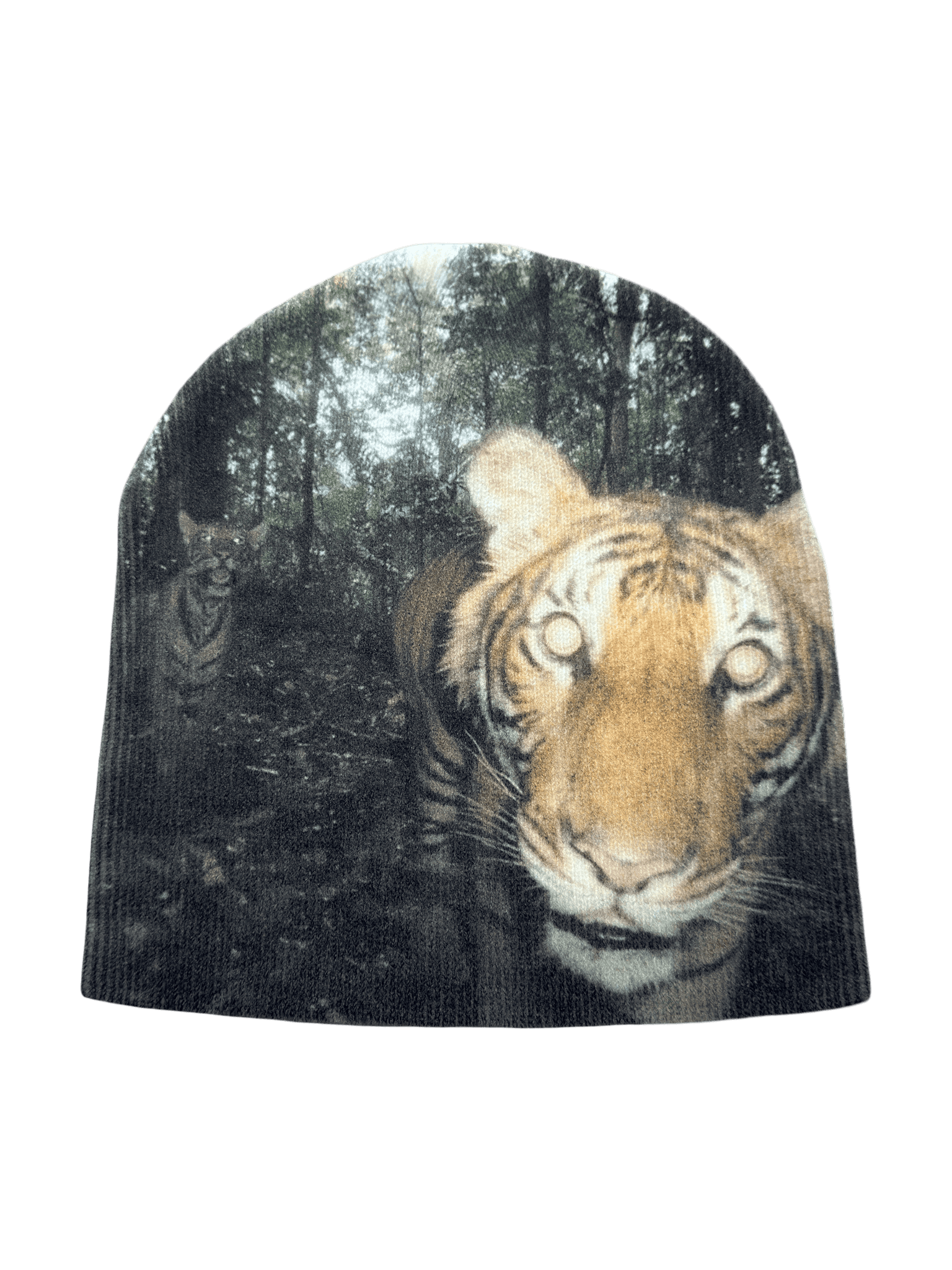 Pinterest Beanie #009